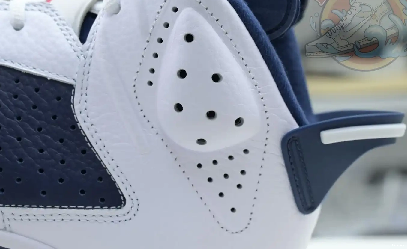 Air Jordan 6